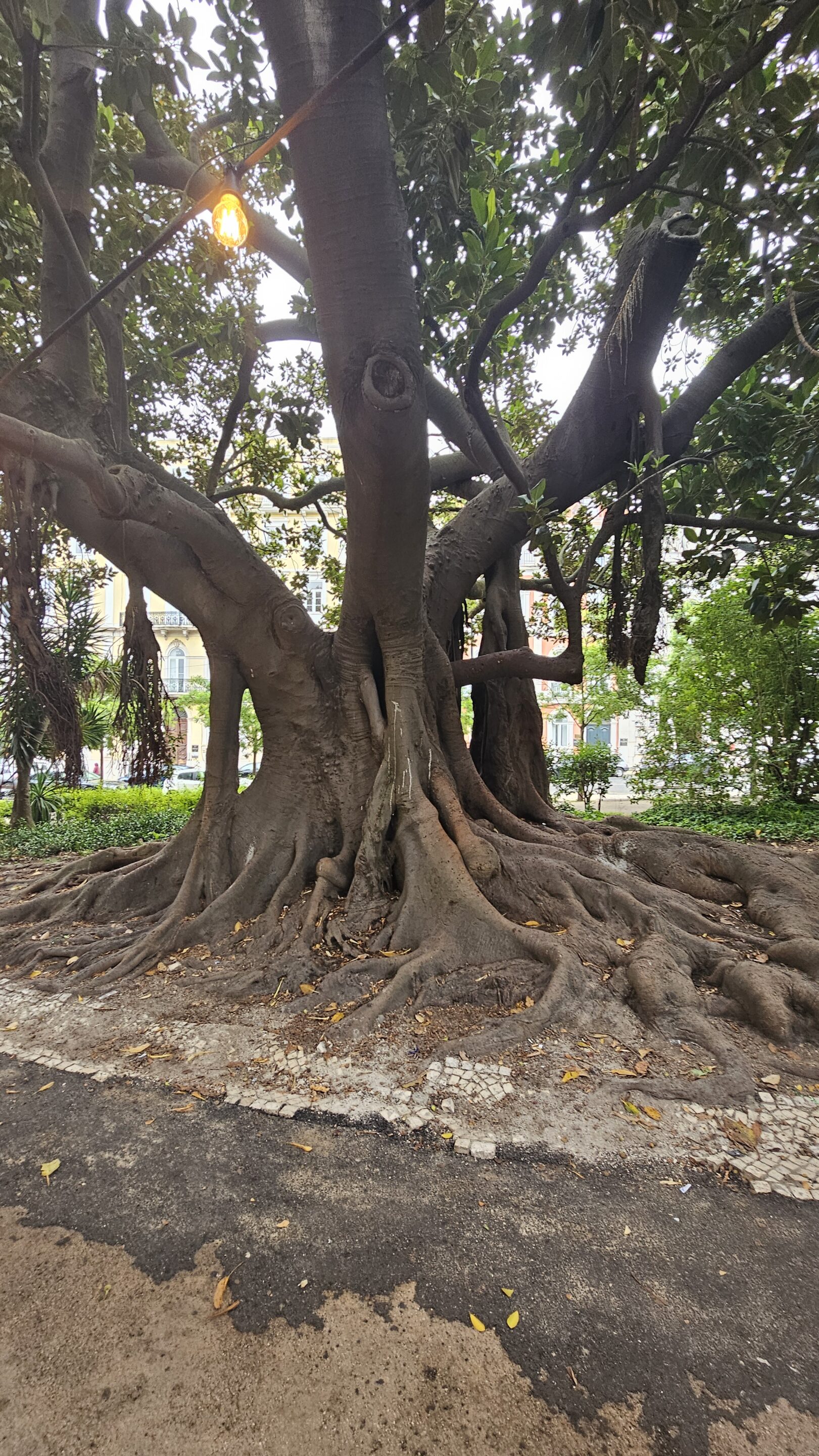 Voyage à Lisbonne – Image 17