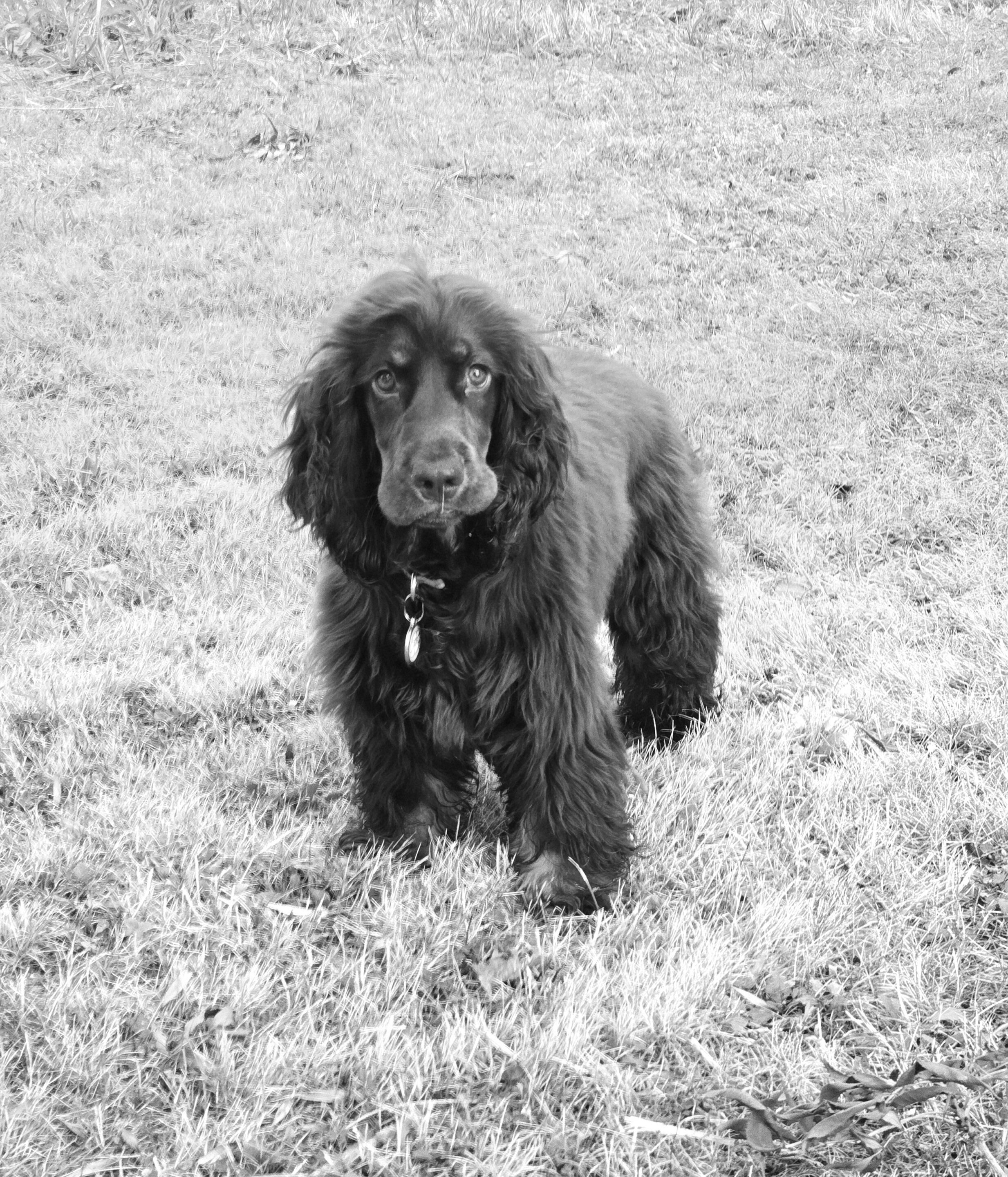 Le noir et blanc en photo – Image 20