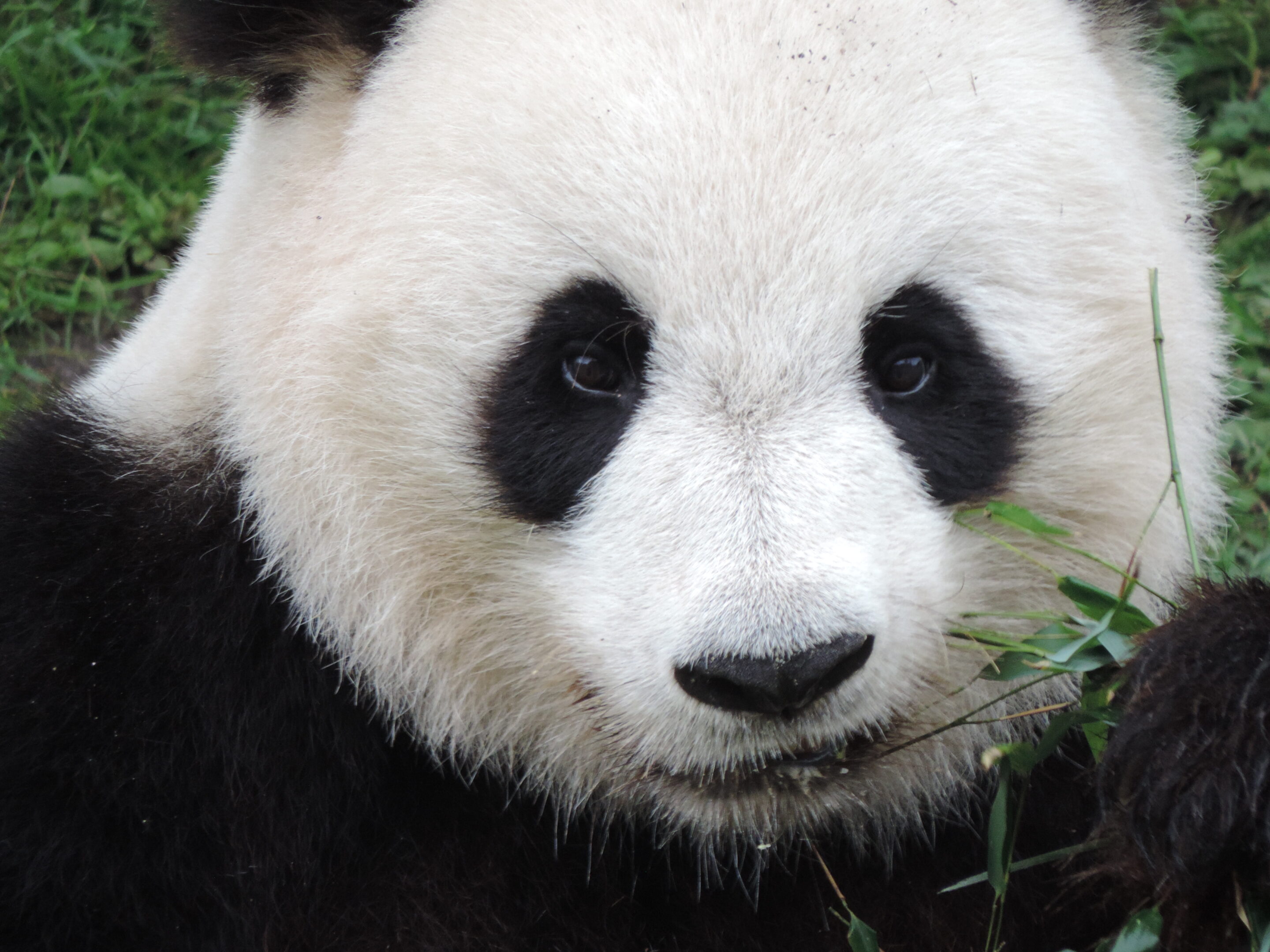 Le noir et blanc en photo – Image 11