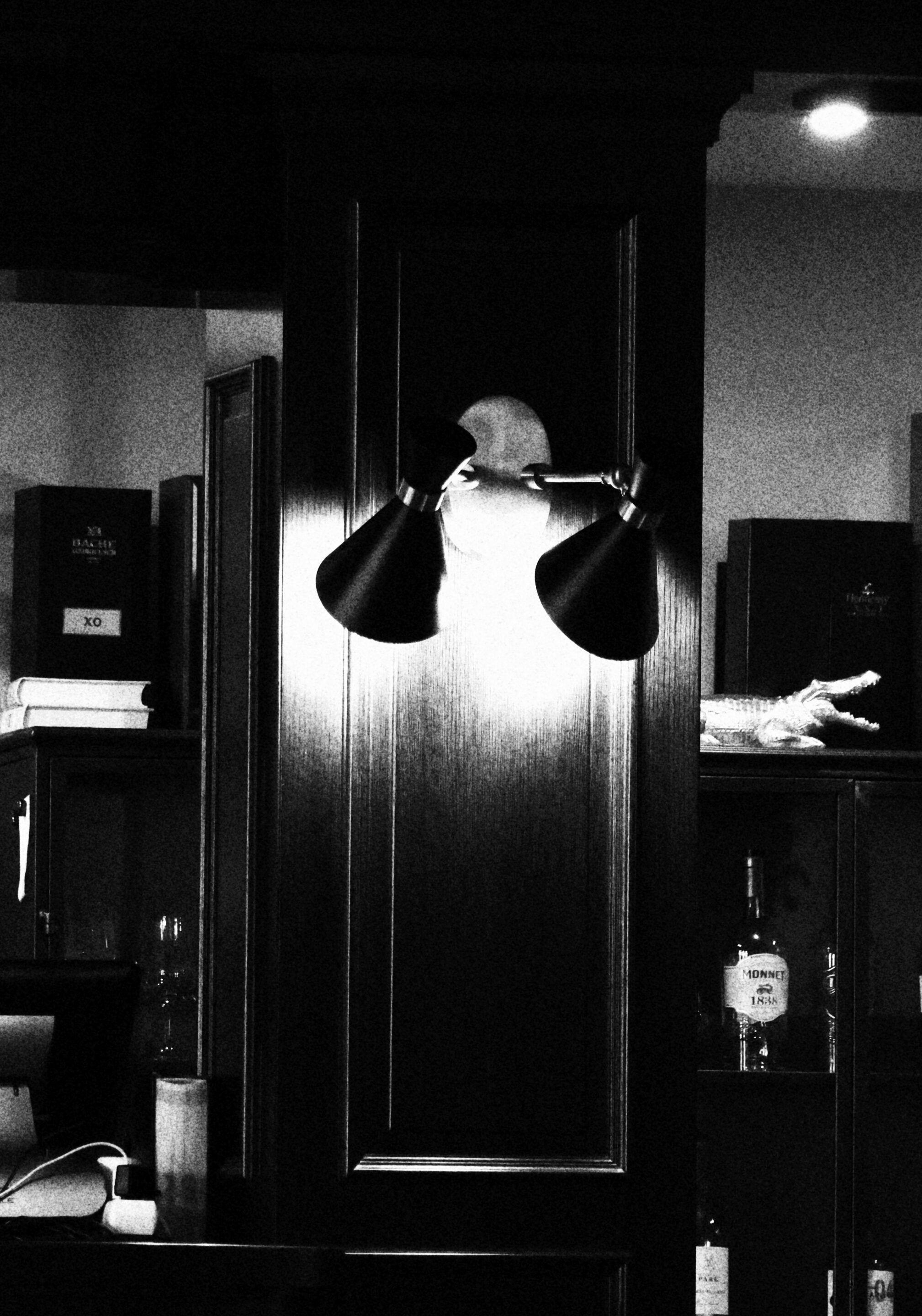 Le noir et blanc en photo – Image 62