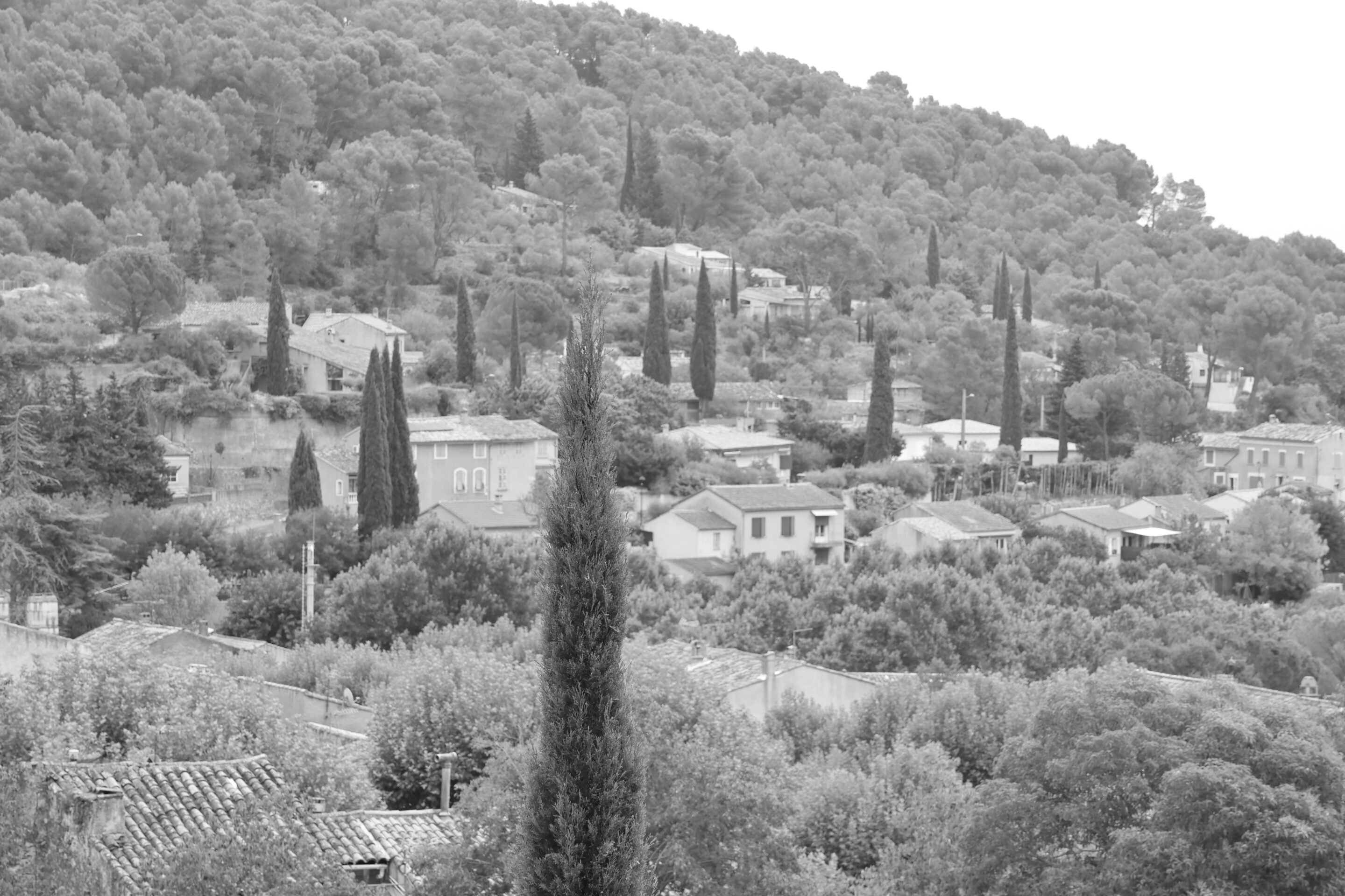 Le noir et blanc en photo – Image 6