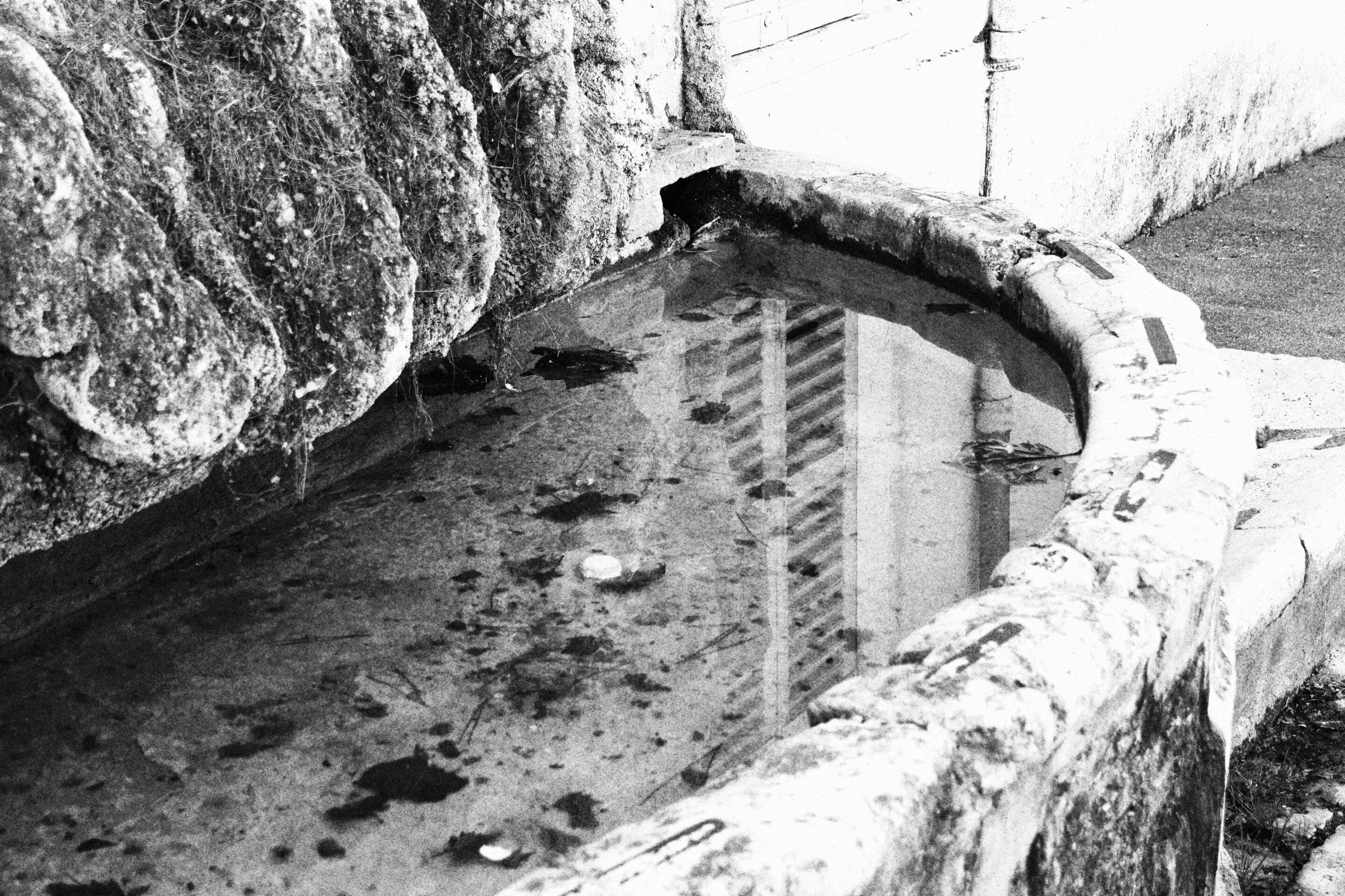 Le noir et blanc en photo – Image 44