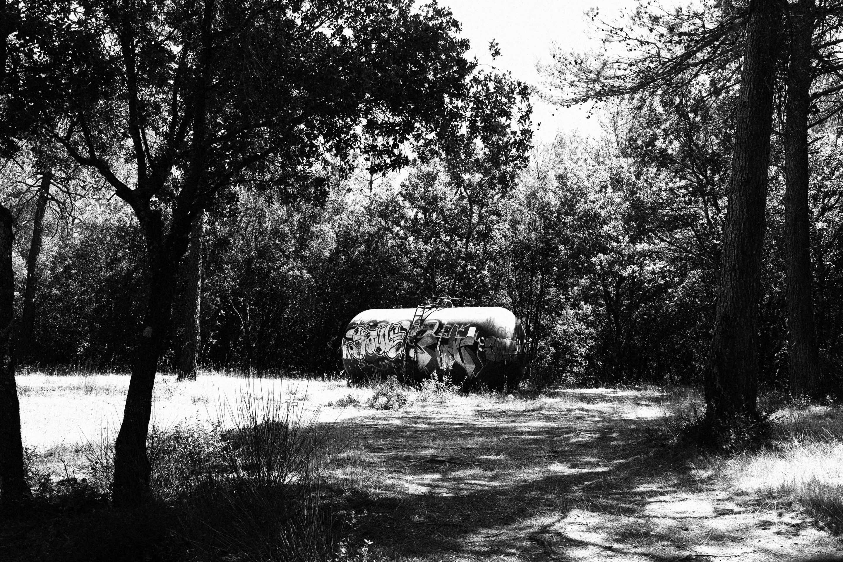 Le noir et blanc en photo – Image 41