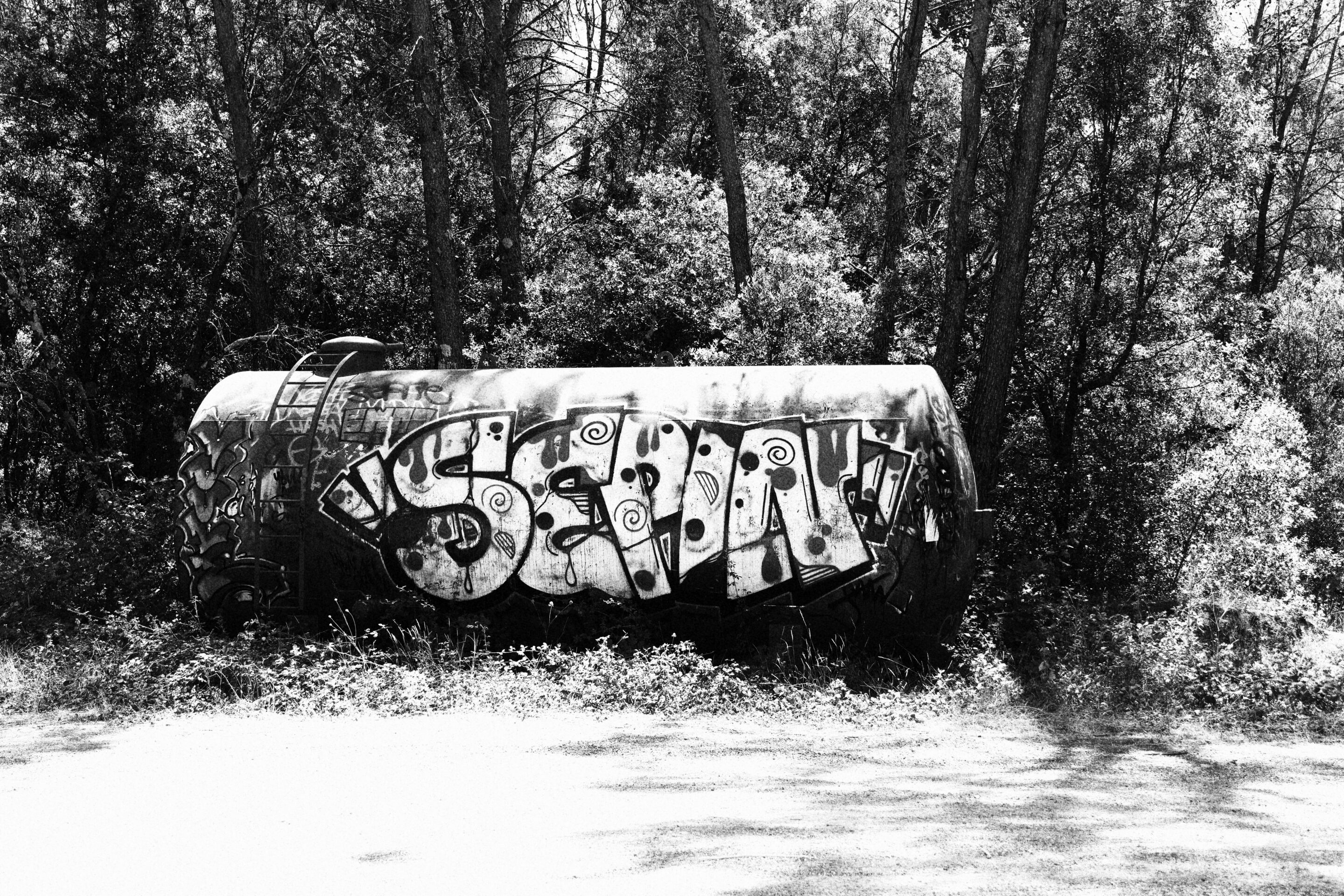 Le noir et blanc en photo – Image 39