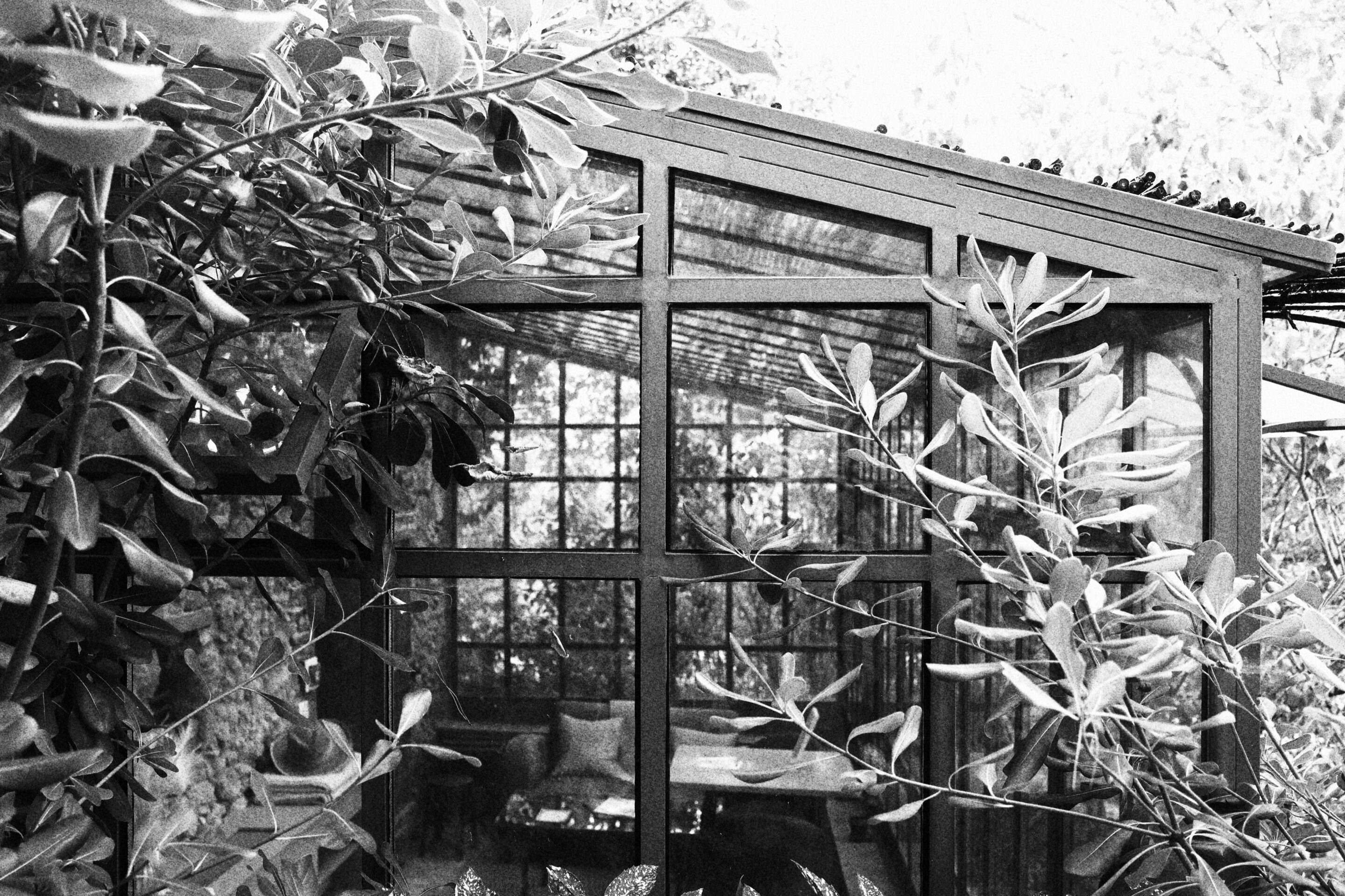 Le noir et blanc en photo – Image 36