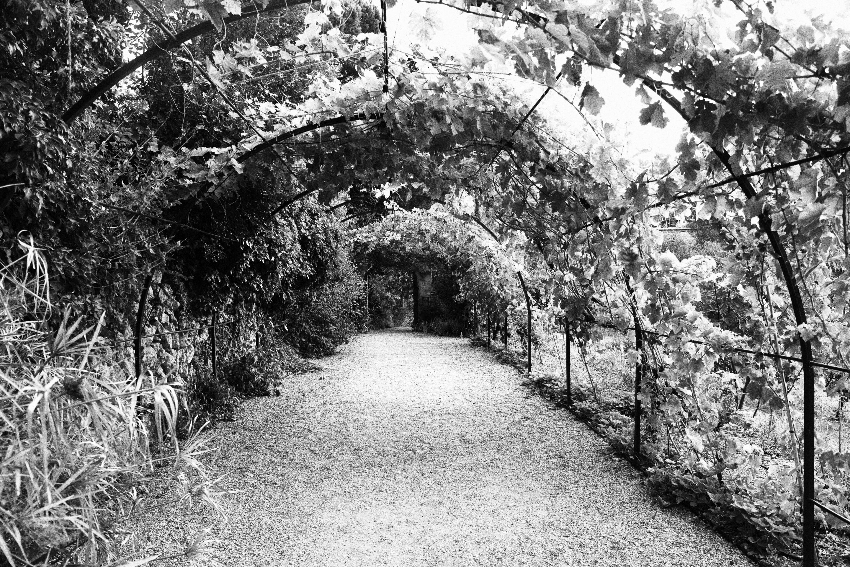 Le noir et blanc en photo – Image 35