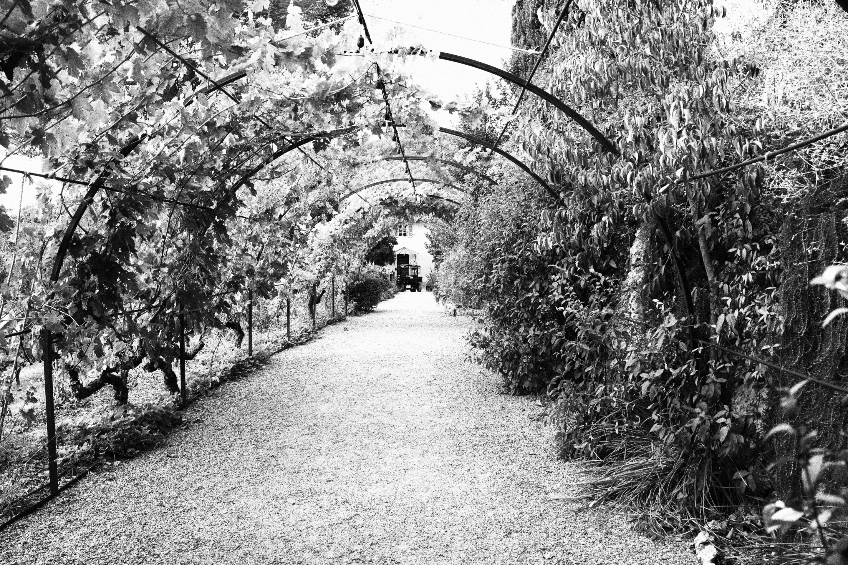 Le noir et blanc en photo – Image 33