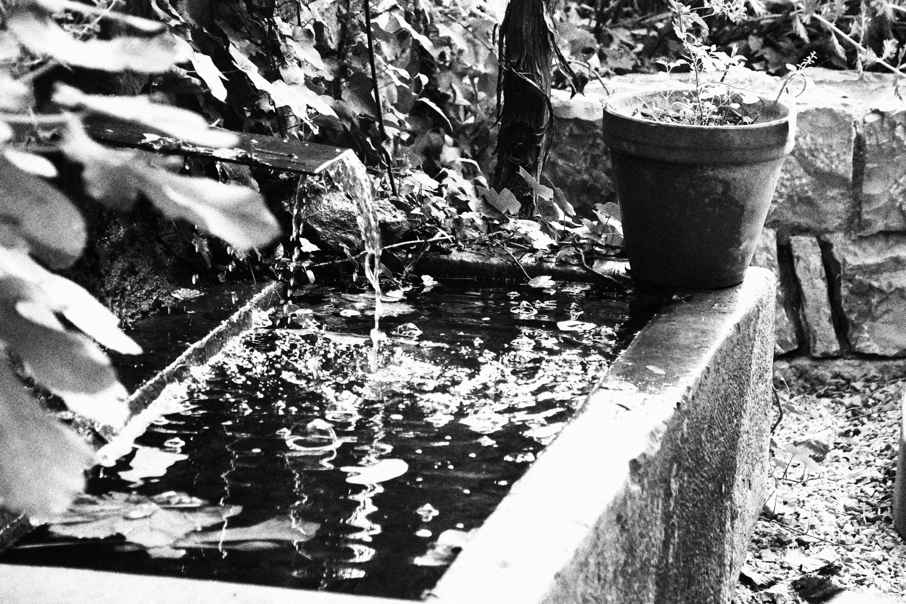 Le noir et blanc en photo – Image 32