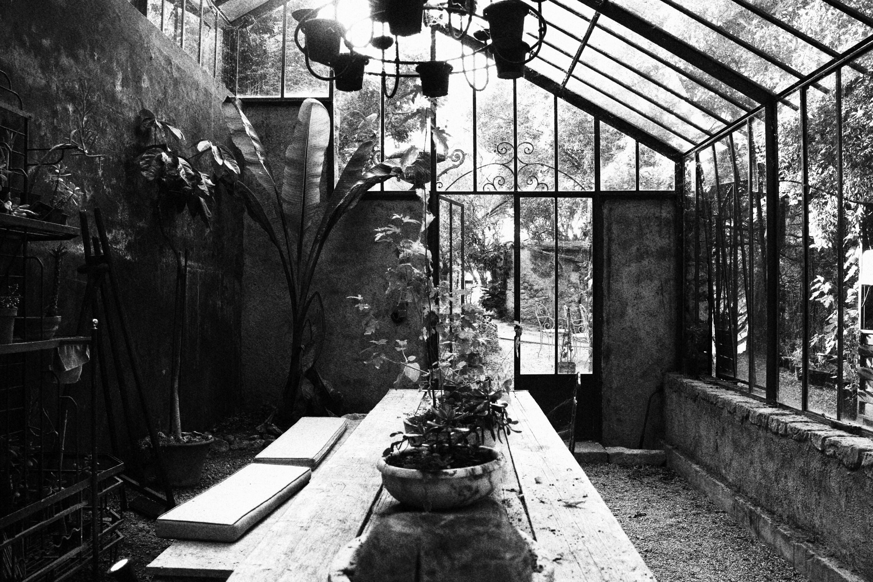 Le noir et blanc en photo – Image 29