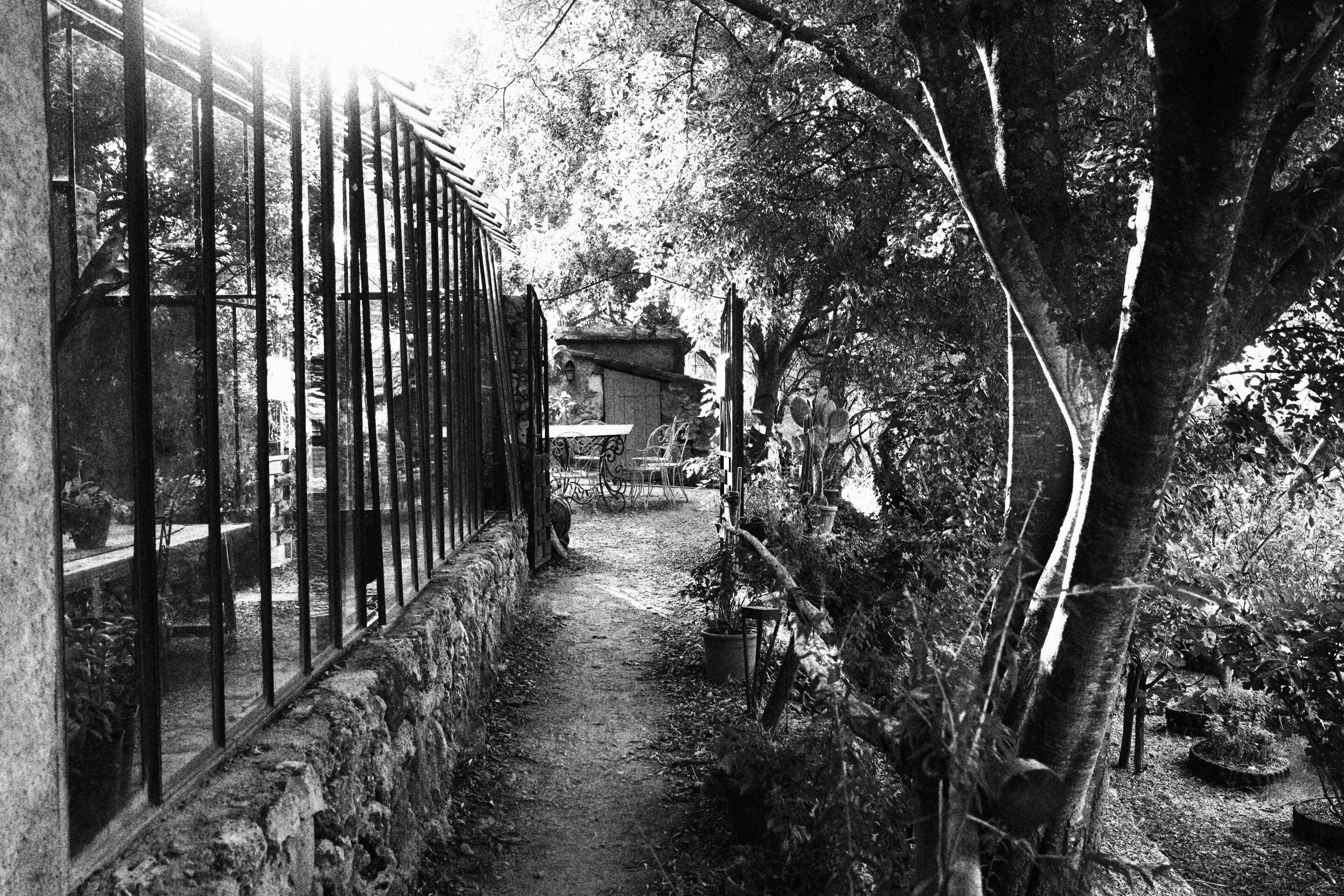 Le noir et blanc en photo – Image 28