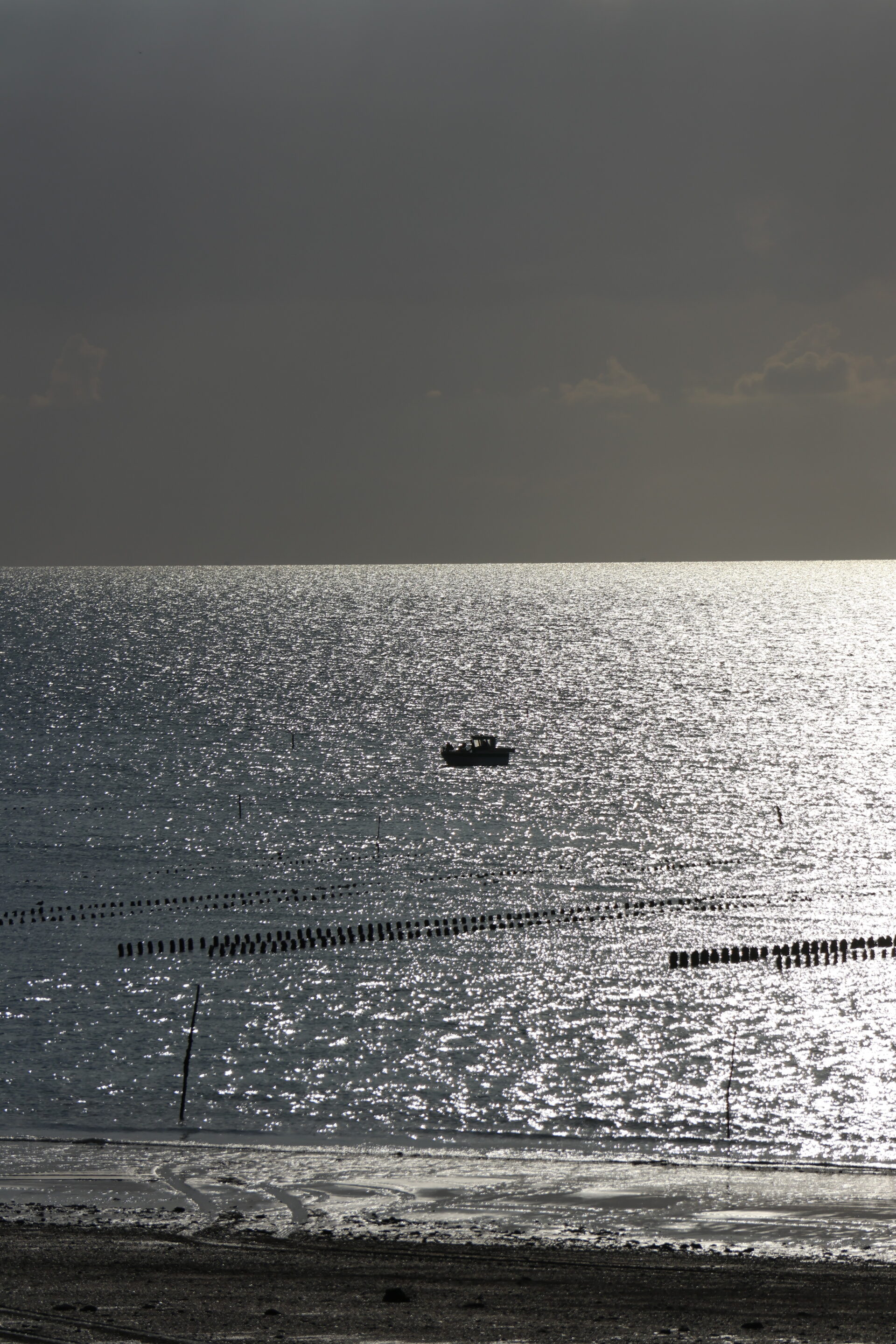 Le noir et blanc en photo – Image 13