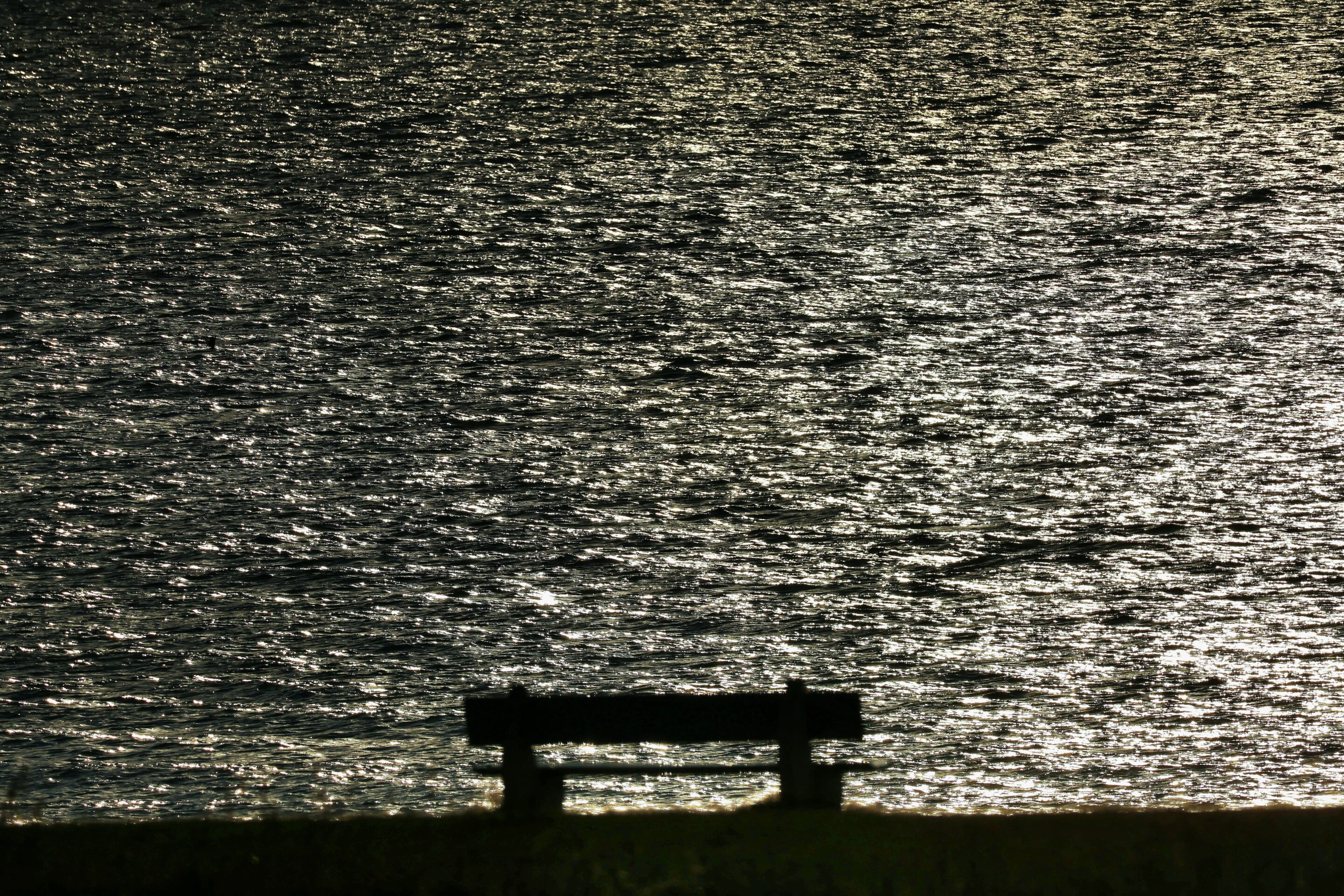 Le noir et blanc en photo – Image 12