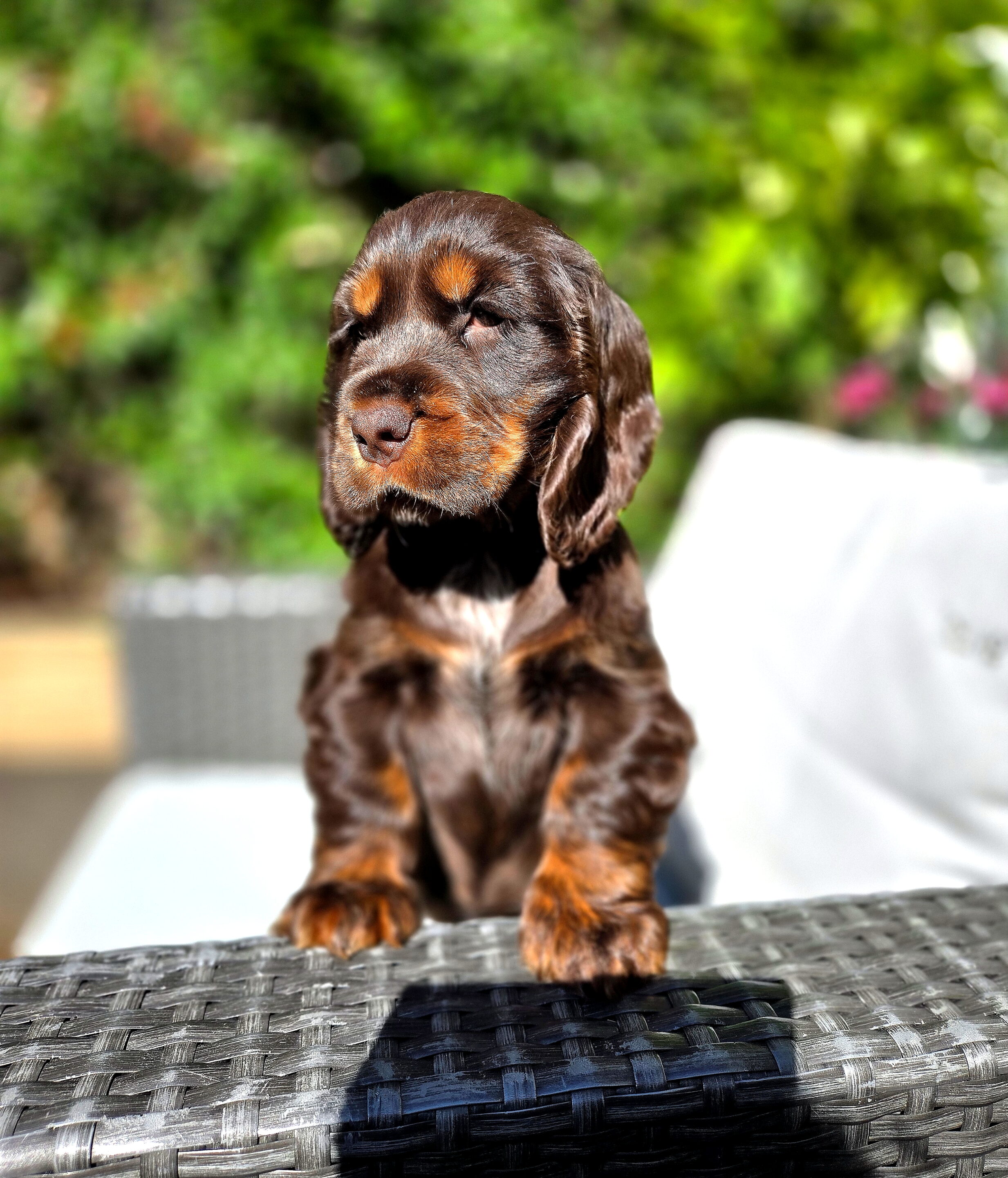 Bébés animaux au regard envoutant – Image 10