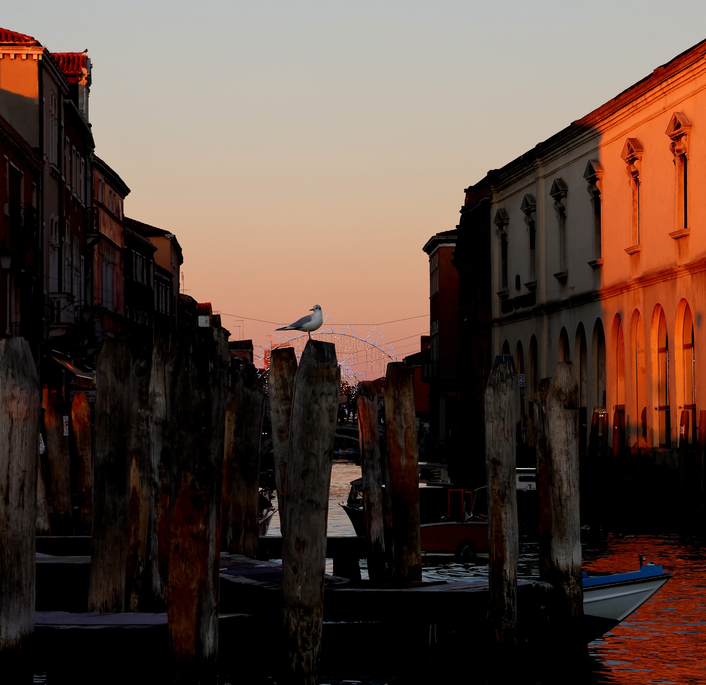 Voyage à Venise – Image 18