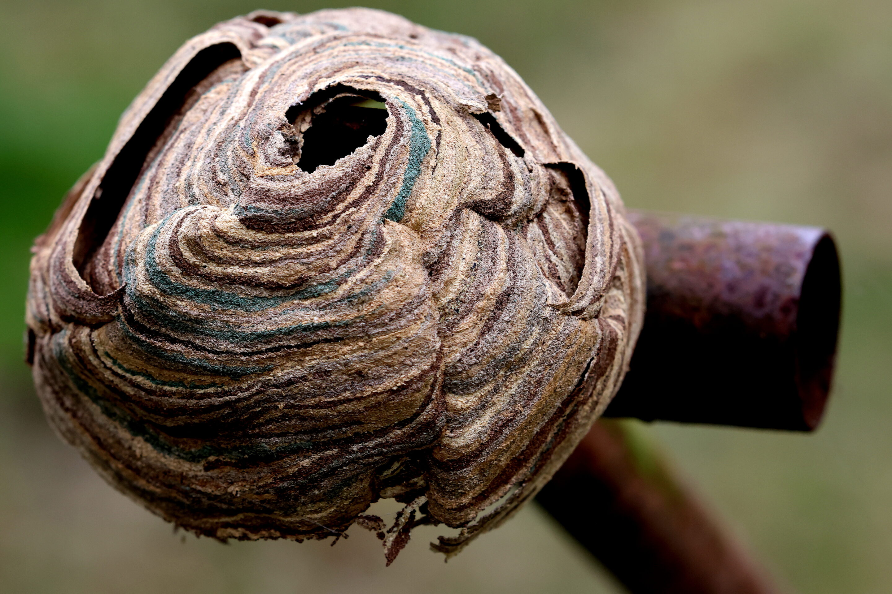 L'inspiration en photo – Image 14