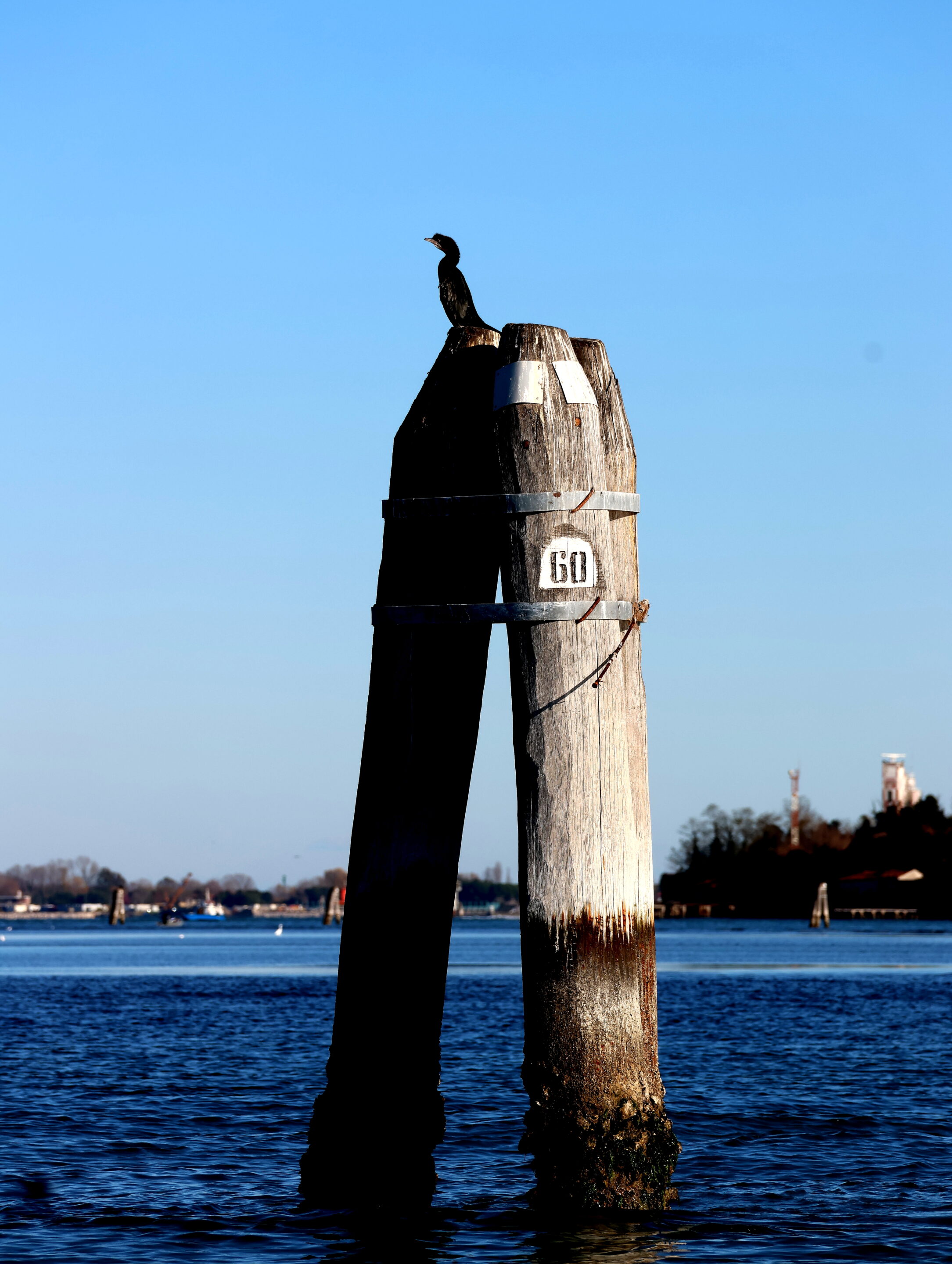 Voyage à Venise – Image 36